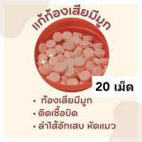 ท้อง เสีย มีมูก สำหรับ​สุนัข​และ​แมว​ 004