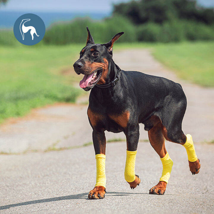 Dog Kneecap Breathable Puppy Teddy Bichon Big Dog Leg Protector Dog