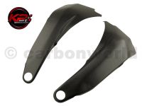 ครอบเฟรม CARBON WORLD FOR DUCATI PANIGALE V4