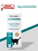 Intervetta KatSAMe อาหารเสริมบำรุงตับสำหรับแมว (30เม็ด)