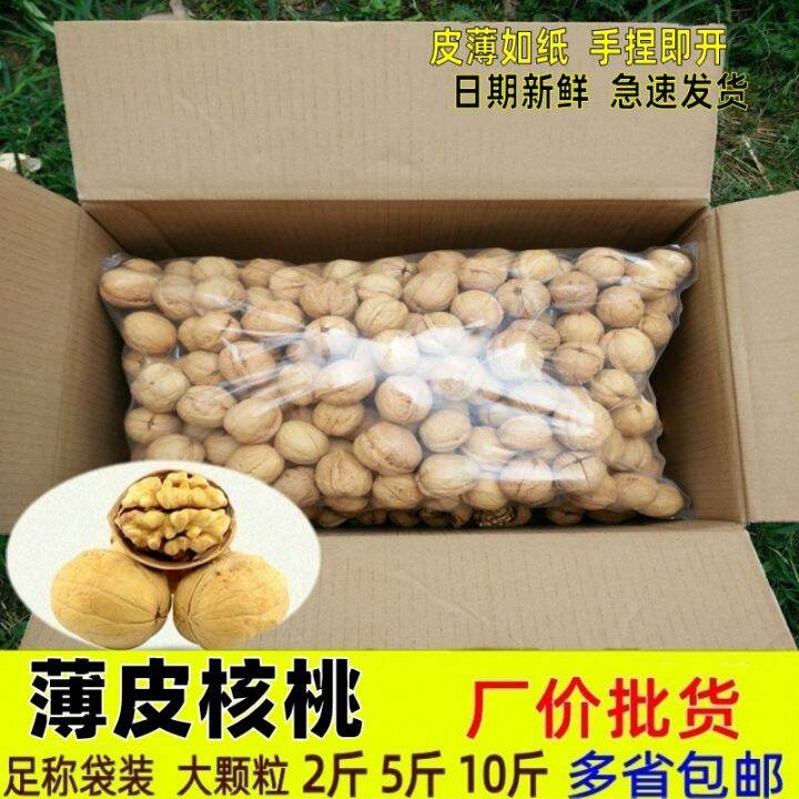 2023 Fresh Raw Walnut 2.50kg Thin Skin Original Flavor Wild Pregnant