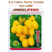 เมล็ด มะเขือเทศเชอรรี่เหลือง*** Yellow Roma Tomato  สายพันธุ์ OP จำนวน 200 เมล็ด