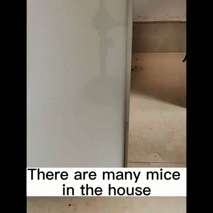 💥Free net bags💥100 Powerful Mothballs for rats rat repellent for home