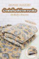 Safari Blanket  ผ้าห่มนาโนลายเสือ ขนาด 60×70นิ้ว(size 4.5 ฟุต)