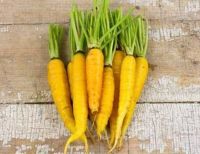 เมล็ดพันธุ์แครอทสีเหลือง อมาริลโล่ (Amarillo Yellow Carrot Seed) บรรจุ 100 เมล็ด ของแท้ คุณภาพดี ราคาถูก นำเข้าจากต่างประเทศ