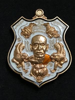 เหรียญพยัคฆ์ปุญญกาโม หลวงพ่อพัฒน์ ทองแดงผิวส้มลงยาขาว