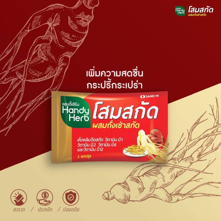 ยกกล่อง-24ซอง-handyherb-แฮนดี้เฮิร์บ-โสมสกัดผสมถั่งเช่าสกัด-ซองละ2-แคปซูล