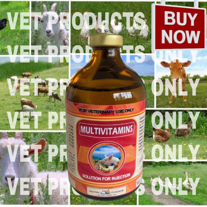 MULTIVITAMINS FOR ANIMALS 100ML WITH FREE SYRINGE | Lazada PH