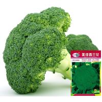 เมล็ดบรอกโคลี  Broccoli  300 เมล็ด   เมล็ดนำเข้า พันธุ์แท้ 100%  สายพันธุ์ OP