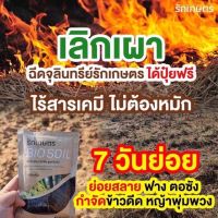 ?ซื้อ 2 แถม 1?จุลินทรีย์รักเกษตร Bio Soil (1ซองละ100กรัม)