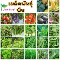 เมล็ดพันธุ์ ตรา ภูเขาทอง ปลูกง่าย โตไว