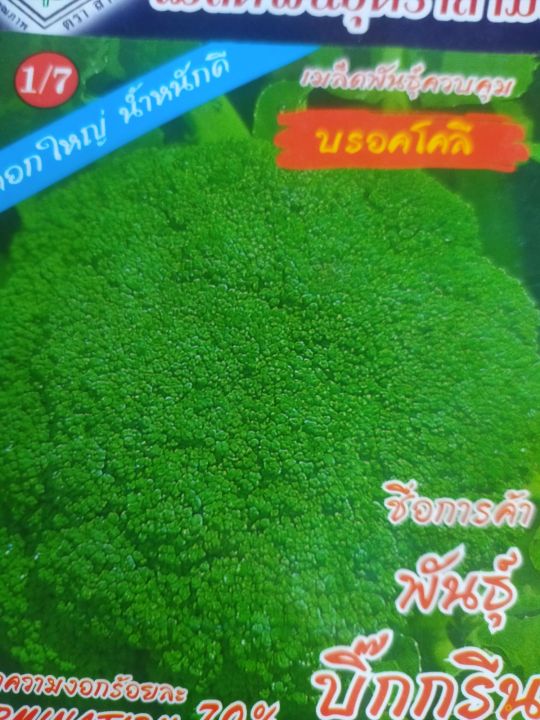 เมล็ดพันธุ์-บรอคโคลี