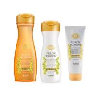 [พร้อมส่ง] Daeng Gi Meo Ri Yellow Blossom Shampoo Conditioner Treatment แชมพูสีเหลือง แทงกีโมรี ช่วยปรับสมดุลหนังศีรษะ