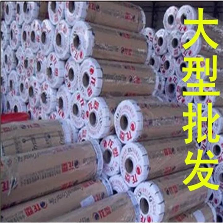 Transparent Floor Mat PVC Door Mat Plastic Carpet Wooden Floor Protective Mat Film Door Living Room Household Waterproof Sliding Mat