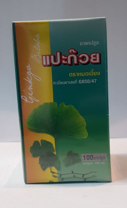 แปะก้วย-ginkgo-บำรุงร่างกาย