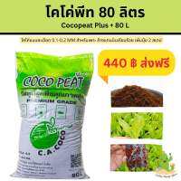 โคโค่พีทพลัส 80 ลิตร (Cocopeat )