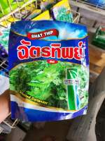 ?ผักชี ?ฉัตรทิพย์ 300 กรัม ก่อใหญ่ ใบหนา น้ำหนักดี