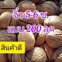 ไซร์จิ๋ว ขนาด5-6เซ็น ใหญ่กว่าไข่ไก่ สวย ลายธรรมชาติ แบบ200ลูก