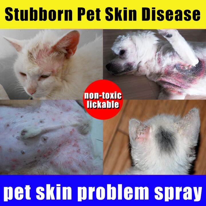 😻Nontoxic, can be licked💯 Pet skin treatment spray Anti mange for dogs
