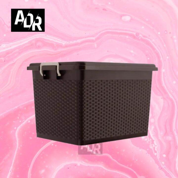 Zooey Rattan Picnic Box Storage Lazada PH