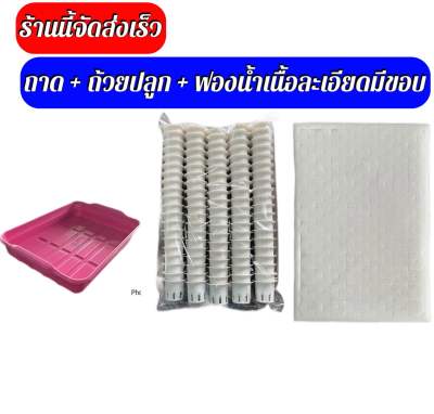 ถาดเพาะ+ถ้วยปลูก 100ใบ + ฟองน้ำเนื้อละเอียด 1 แผ่น จัดส่งทุกวัน