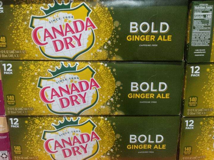 CANADA DRY BOLD GINGER ALE 12CANS | Lazada PH