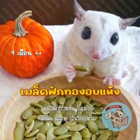 ( SEED - เมล็ดฟักทองอบ ) เมล็ดฟักทองอบสุก เมล็ดฟักทองอบแห้ง ธัญพืช อาหาร ชูการ์ ชูก้า กระรอก แฮมสเตอร์ ดอร์เมาส์