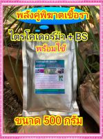 ไตรโค+บีเอส (ขนาด 500 กรัม) ชีวภัณฑ์ปลอดสารพิษ ป้องกันและกำจัดเชื้อราทุกชนิด