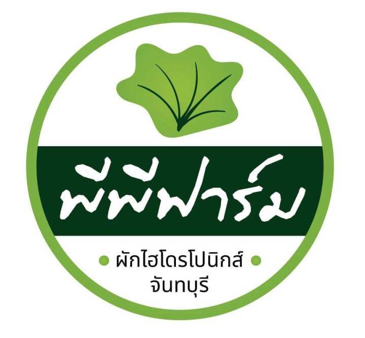 ฟิลเล่ย์ไอซ์เบิร์ก-แพ็ค-1-กก-ผักสด-สะอาด-ปลอดภัยไร้สารพิษ-จากพีพีฟาร์ม-ผักไฮโดรโปนิกส์-จันทบุรี