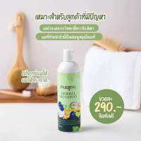 แชมพูแฟรี่ปาย
