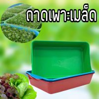 ถาดเพาะเมล็ดผักไฮโดรโปนิกส์ 1 ใบ พลาสติกคุณภาพสูง ใช้งานได้จริง