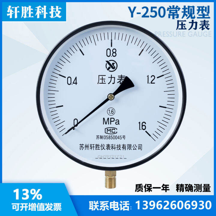 Y250 MPA Ordinary Pressure Gauge Steam Pressure Gauge Boiler Pressure