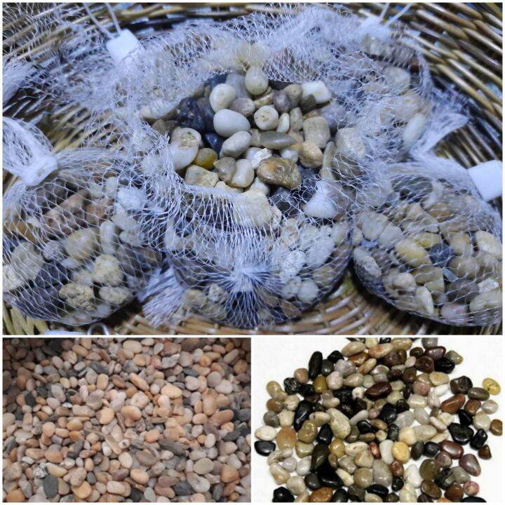 Pebbles 1pack 200g (Decorative Stones for Plants and Aquarium, River