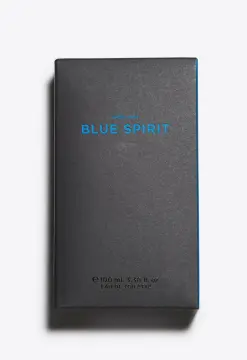 Buy Zara Blue Spirit Eau de Toilette - 100 ml Online In India