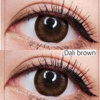 Dali / tiara/bim brown เลนส์น้ำตาลธรรมชาติ