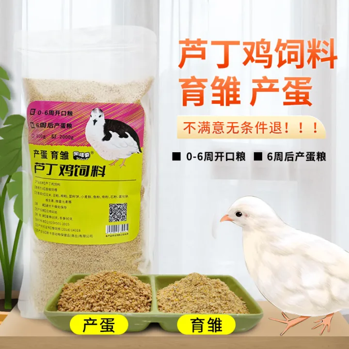 Rutin Chicken Feed Egg Food Open Food Special Feed Chicken Special Feed