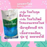 แอนทราโคล ขนาด 500กรัม ป้องกันเชื้อรา ราใบจุด ใบไหม้ มีธาตุสังกะสี