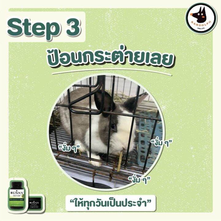 new-แรนดอล์ฟบันนี่เอนไซม์-randolph-bunny-enzyme-อาหารเสริมระบบทางเดินอาหาร