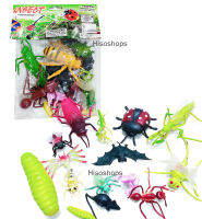 Insect โมเดลแมลง รวมแมลงหลายรุ่นหลายชนิด สีสันสวยงาม sizeใหญ่