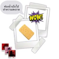 Decontamination Scouring Sponge ฟองน้ำเยื่อไม้ทำความสะอาดครัว ( 1 ชิ้น )