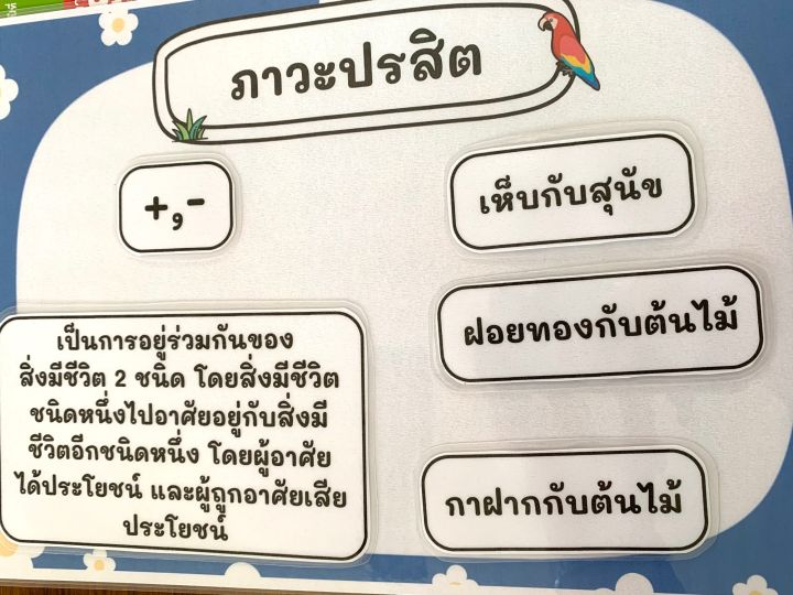 สื่อการสอนวิทย์-จับคู่ความสัมพันธ์สิ่งมีชีวิต-8-ภาวะ