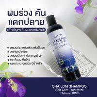 ✨สินค้าใหม่✨แชมพูสูตรอ่อนโยน? CHA’LOM Shampoo ผสานส่วนผสม แชมพู+เคราติน+ทรีทเม้นท์ หยุดผมร่วง แก้คันหนังหัว แก้รังแค ส่วนประกอบจากสมุนไพร