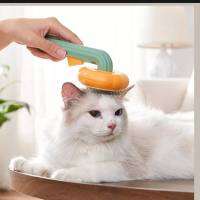 ฟักทองแมวแปรงหวี Pet Grooming