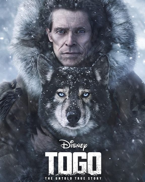 [DVD HD] Togo : 2020 ☆☆☆IMDb 7.9/10 (มีพากย์ไทย-ซับไทย เลือกดูได้) #ดิสนีย์ - มิตรภาพ ผจญภัย ดราม่า