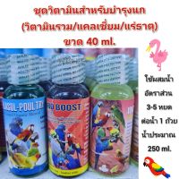 ชุดวิตามินบำรุงนก ขวด40ml. Bird Boost (วิตามินรวม) / แคลเซียมน้ำ / อินเตอร์ฟอส (ทดแทนดินโป่ง) ขวดเล็ก40ml.