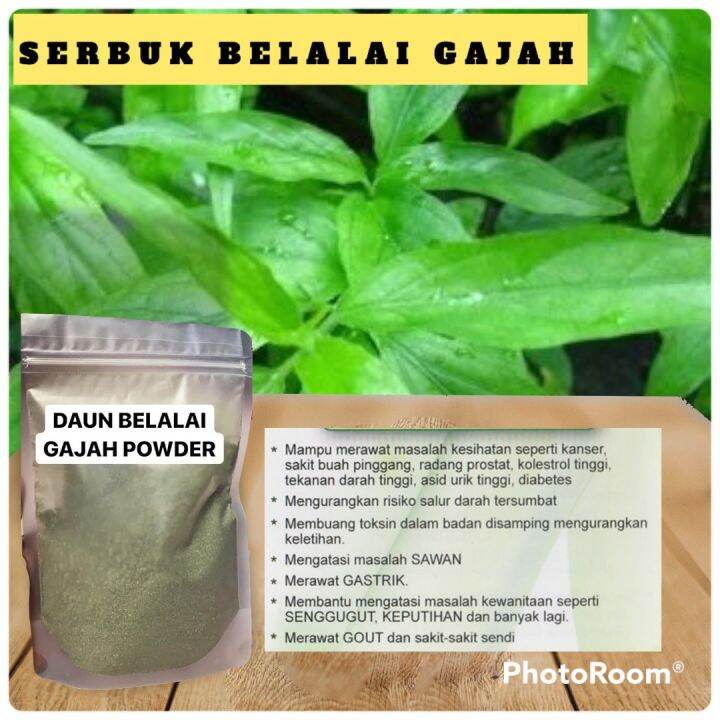 Serbuk Belalai Gajah Sabah Snake Grass 100g Lazada