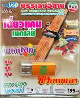 usb แฟลชไดร์ฟ บรรเลง เดี่ยวแคน เมดเล่ย์ เบรคแตก