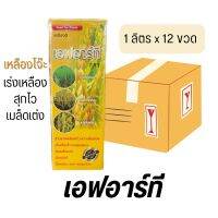 เอฟอาร์ที 1ลิตร (ยกลัง12ขวด) สารเร่งเหลือง รวงใหญ่ เมล็ดใสเต่ง รวงเหลืองสุกสม่ำเสมอ ความชื้นน้อย น้ำหนักดี เร่งเหลือง