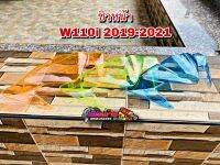 ชิวหน้า W110i 2019-2021 3 สี สดใส ฟ้า ส้ม เขียว โล๊ะ มีจำนวนจำกัด