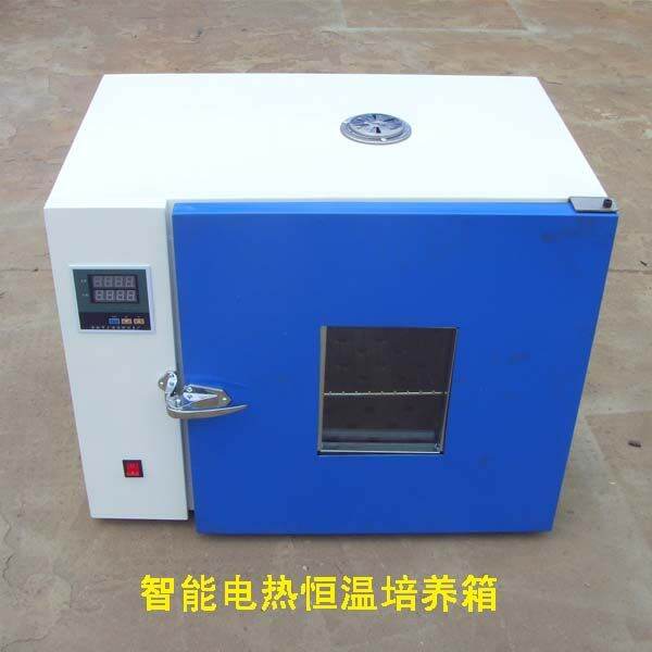 QS Certification! Incubator Small Desktop Incubator Constant